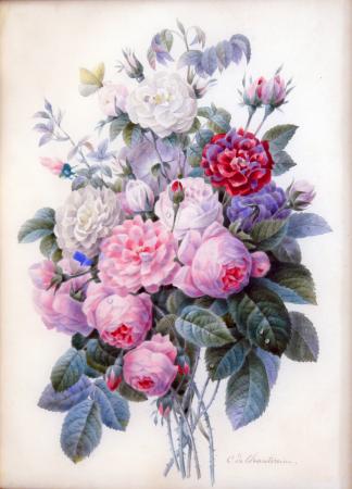 Bouquet de roses - Camille de Chantereine ( 1810- 1847)